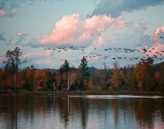 Friends of Mad River 